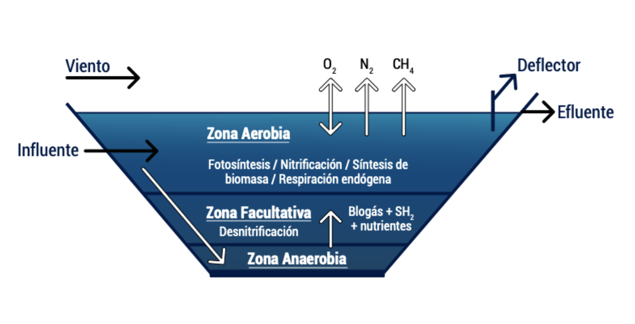 Oxigenación de lagunas aireadas